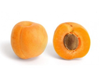 microgranuli-nocciolo-albicocca