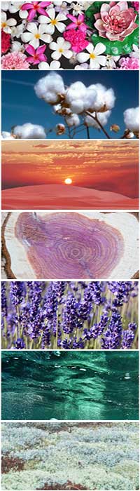 Fragranze per la casa