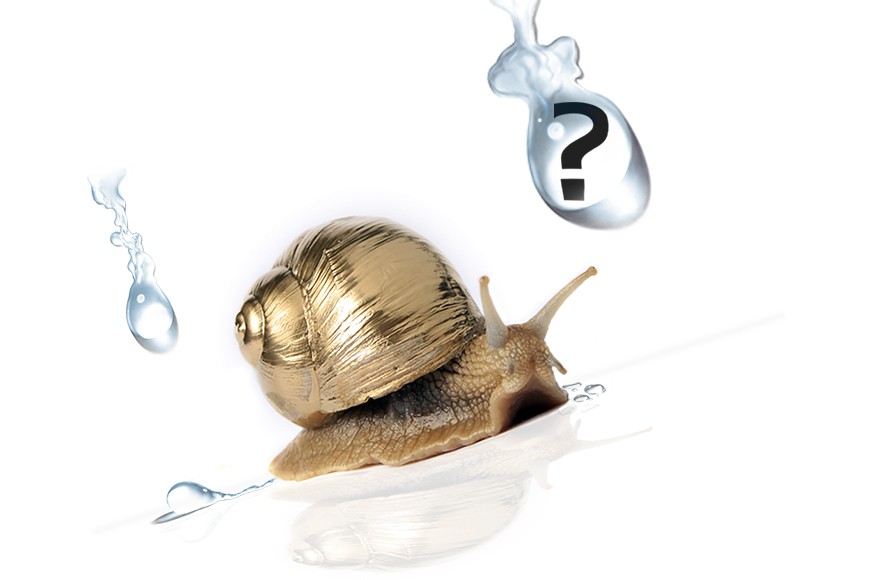 Guida alla scoperta dei benefici dell’utilizzo di creme e sieri con Bava di Lumaca